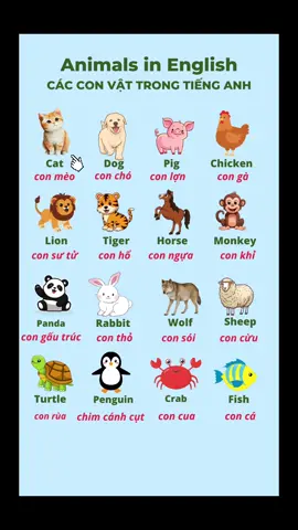 Topic: Animals in English. Các con vật trong tiếng Anh. #tuvung #tienganh #tienganhgiaotiep #tienganhchobe #LearnOnTikTok 