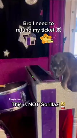 #foryoupage #foryou #fyp #lolcat #cat #funnycats #fypシ゚viral #gorillaz #fat #popular #memes 