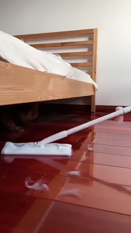 Electrostatic dust mop#usefulproducts #cleaning #cleantools #householdgoods #mops #fyp 