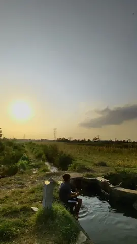 - kopine 😁 #sunset #nyore #bahanswmu #sunset #fypdongggggggg #mentahanvideo #probolinggo 