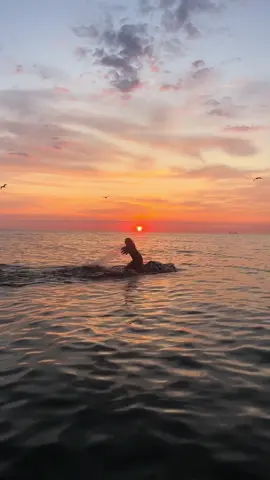 #swimchallenge #swimming #swimmerhack #freiwasserschwimmen #openwater #sunrise 
