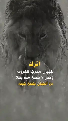 #كلام_من_ذهب 