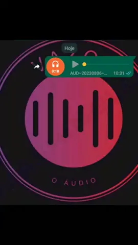 marca aí a pessoa que gosta de mandar audios longos kkk #audio #whatsappstatus #audiosvirales #umvideo #viral #engracado #vazouoaudio 
