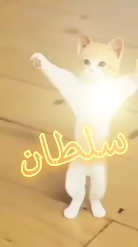 #تابعني #لايك #اطلب #فيديو 