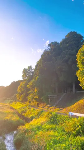 #田舎 #田舎の風景 #夕焼け