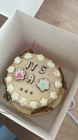 Voici notre petite « gender reveal » à nous 🩵🩷 Bien que vous savez à quel point ça m’horripile d’associer un genre à une couleur 😂 on a pas trop le choix dans ces cas là… Si vous avez besoin d’un morfale pour votre gender reveal je peux vous prêter Ryuk ! Shiro n’a pas touché au gâteau 😅 Heureuse de pouvoir partager cette nouvelle avec vous, même si ma seule préoccupation est d’avoir un bébé en bonne santé 🙏🏼 Love 🫶🏼 (Cette vidéo date du 14 juin)