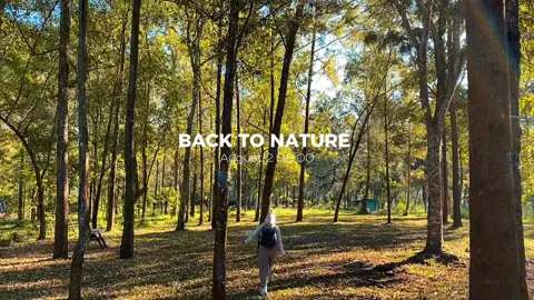 tempatnya keren banget jalan cuma 20menitan aja, sambil nikmatin pemandangan hutan hutan wkwk😆👍🏻   Next kemana kak? Wkwk @Kirei  #minivlog #bukitkaliandrabatu 
