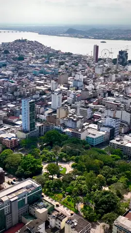 Parque Centenario in Guayaquil, Ecuador ⛲️🏙️🇪🇨 #ecuador#guayaquil#guayaquil_ecuador#ecuadorturistico#ecuadortravel#fyp#viral#travel#worldwalkerz
