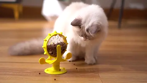 Interactive Treat Leaking Toy for Small Dogs Original Slow Dog Feeder Funny Dog Wheel