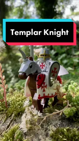 Even fake Lego can photograph well… #legominifigures #legoknight #knightstemplar #legooutdoors #legophotography #toyphotography #crusader 