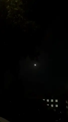 سورة يونس | القارئ #عبدالرحمن_مسعد #quran #علمً_ينتفع_به🖤 