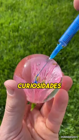 Inacreditável!!! 😱😱 #curiosidade #fatoscuriosos  #sastifatorio #fatosengraçados  #ideiascriativas #fy #fyp #viral 