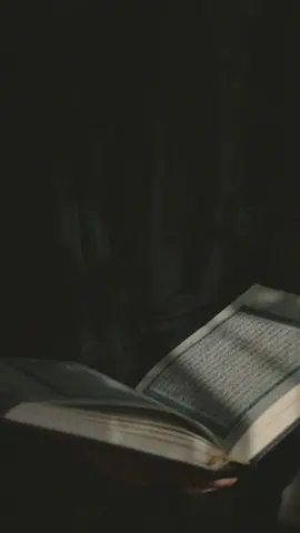 القارئ : #علاء_المزجاجي ( سورة آل عمران ) #إكسبلور #قرآن #تلاوات #تصميمي🎬 #fyp #foryou 