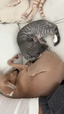 my babies 🥹 (3 of 4)