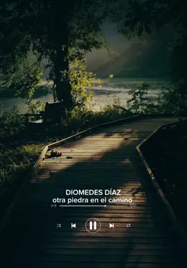 #opoyenelcanal #diomedesdiazoficial #otrapiedraenelcamino 