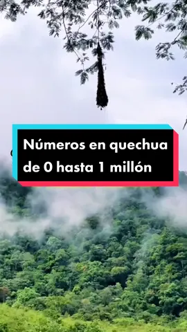 Números 🔢 en quechua desde 0 hasta 1 millón #Parte1 #Viral #curso 