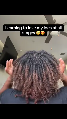 My first set i always thought i needed a retwist but this set i like to keep it frizzy and remind myself that this part is the part ima miss the most and to just enjoy the process 🥹🤝🏽 Almost 6 months again #locs #naturalhair #fy #viral 