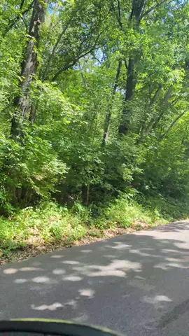 Wyandotte County Lake drive on a windy summer day#visitkc #visitkansascity #genx #wyandottecounty #dotte #visitkck 