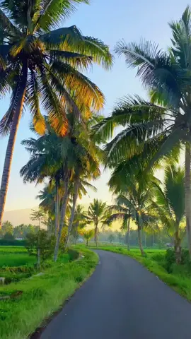 suasana pedesaan memang se asri itu😍.. . 📍Batukliang utara - Lombok Tengah. . #lomboktraveler_ #lombok #pedesaan #fypシ #lombokviral #vibes #kampung #suasanapagi 