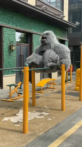 báo cũng dữ lắm mà gặp gấu cũng chào thua 😂 #xuhuongtiktok #troll #funny #funnyvideos #comdy #comedyvideo #trending #edit #capcut #haihuoc #giaitri #viraltiktok #fyp #foryou #xuhuong 