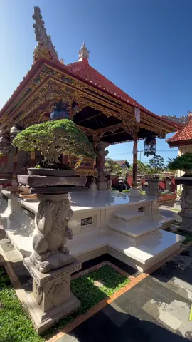 #bonsai #rumahbali #bonsaiindonesia #fyp #fypシ 