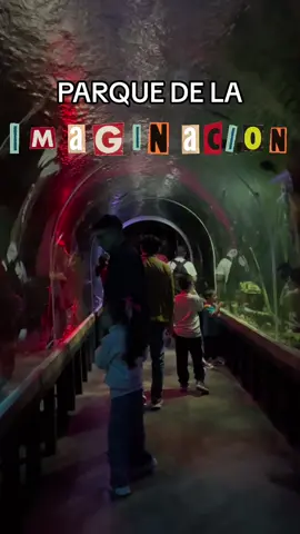 Point Recomendado😁👌🏻🙌🏻#parquedelaimaginación #familytime #acuario #myteam #sanmiguel #tiktok 