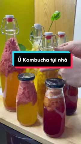 Chiếc cờ líp dài nhất nhưng đây là tổng hợp tất tần tật về cách ủ nuôi trà Kombucha tại nhà thành công từ lần đầu tiên cho các bạn 🥰#dailyvlog #nhaquynhdam #ancungtiktok #LearnOnTikTok #trakombucha 