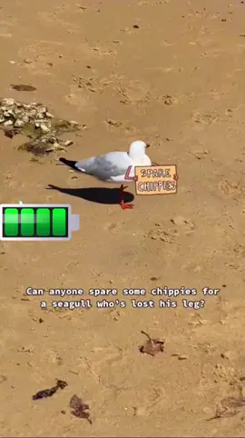 #chips #lostleg 