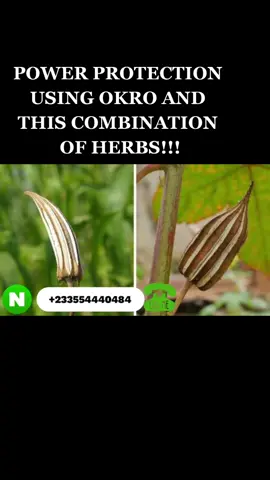 Very Powerful Protection From Car Accidents!!! #foryou #siriusdestination #okra #accident #protection 