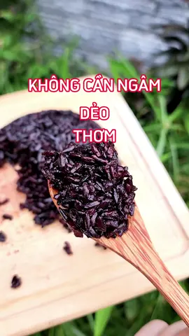 Không cần ngâm, dẻo, thơm là gạo lứt đen đặc sản Điện Biên đó mấy chị. #LearnOnTikTok #gaoluttimthandienbien #ankieng #ancungtiktok 