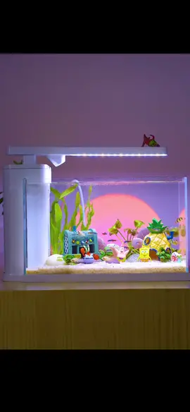 bể cá nhỏ như vậy dễ thương phải k mn #beca #bểcáthuỷsinh #bểthuỷsinh #bểcácảnh #bểcamini #bểcáminiđểbàn #becacanh #becacanhdep #becamini #becadeban #cacanh #thuysinh #setup #cacanhsile #cacanhhanoi #xuhuong #xuhuongtiktok #xuhuong2023 #xuhuongtiktok2023 #LearnOnTikTok #challenge #hottrend #fyp #fypシ #cacanhe