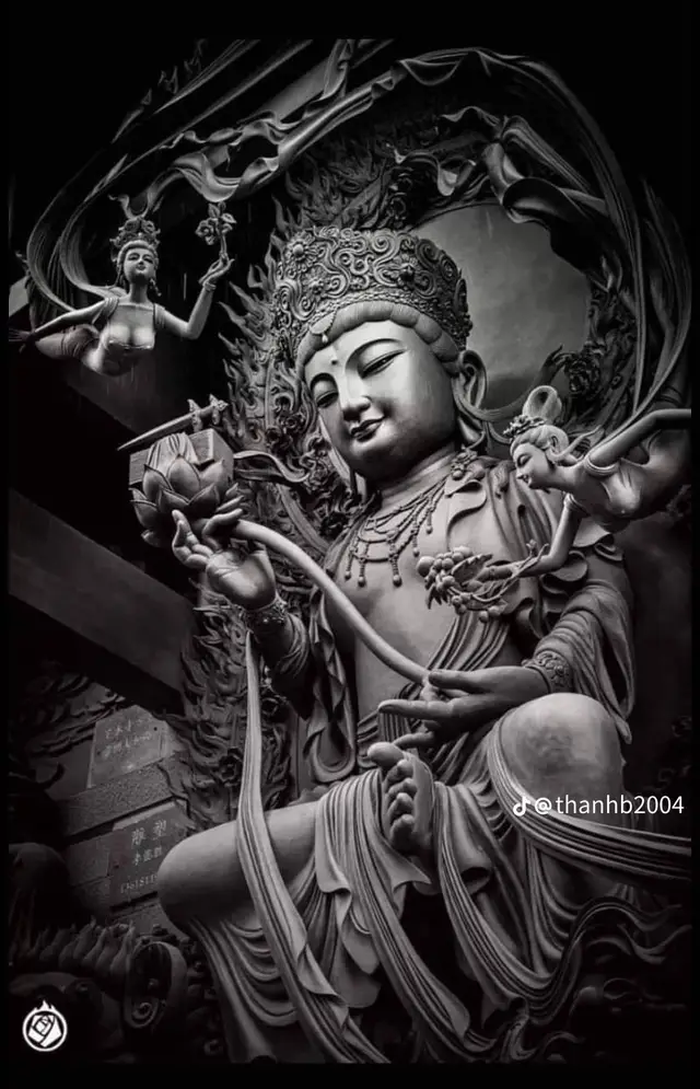 #LearnOnTikTok #capcut #anhemxahoi mãi mãi nhé 🔱