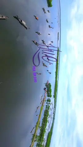 Phá Tam Giang - Huế #fpv #drone #hue #phatamgiang #canhdep #vietnam 