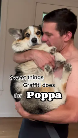 Graffiti lub his poppa 💕 #corgi #dogdad #corgidad #petlove #corgination 