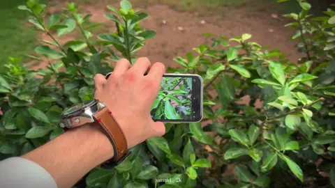 Shots on iPhone 11 #iphone11#videography#cinamaticshot #trending#foryoupage#fyp