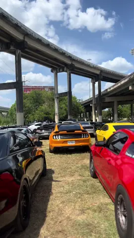 how we roll 📸❤️‍🔥 • • • #fyp #fypシ゚viral #camaro #camaross #shelbygt350 #challenger #camarozl1 #mustanggt #mustang #stinger #dodge #chevy #shelbygt #mustanglifestyle #corvette 
