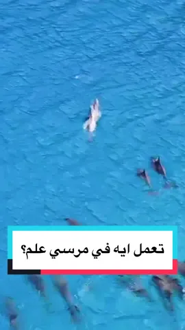 احلي ٥ شواطئ في مرسي علم مالديف مصر 😍🏝️ (اوعوا تفوتوا شاطئ رقم ٥ 💙👌🏻) #abdelrahmanalytravels #travelitinerary #wheretovisit 