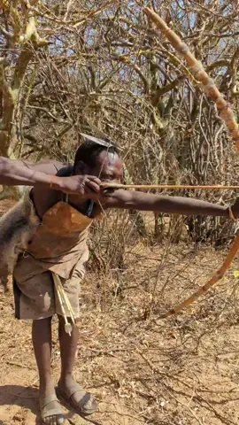Hadzabe are some of the best hunters #africantribes #hadzane #hadza #hadzabe #hadzabetribe 