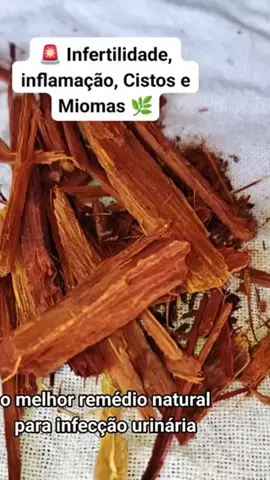 Melhor remédio caseiro para infecção urinária 