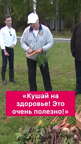 #новости #беларусь #белорусы #актер #знаменитость #мем #морковь #витамины #президент #лукашенко #лукашенкоприколы #гости #рекомендации 
