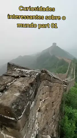 qual destas foi  a mais interessante?  #fatos #fatosdesconhecidos #curiosidades #virale  #brasil 