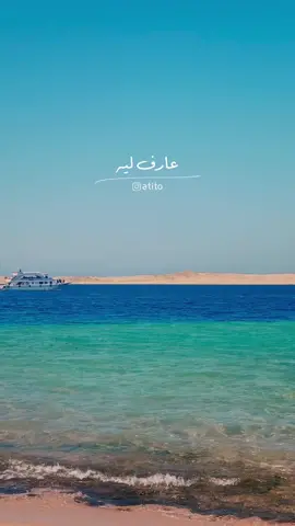 وعارف ليه أنا لو عايز أعيش في الجنة أنا هاتمنى أعيش حواليك #مصطفى_قمر  #نوستالجيا #اغاني_زمان #اكسبلور #حالات_واتس 