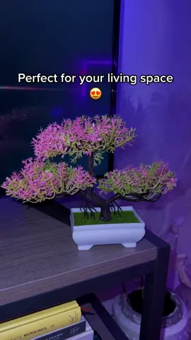 Our artificial bonsai trees are perfect pieces to add some decoration to your bedroom #bonsai #bonsaitree #decoration #plant #fyp #foryou #foryoupage 