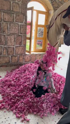 صاحب مزرعه ورد بالطايف رمى الورد على انهار وكانت مره فرحانه😍#explor #rosé 