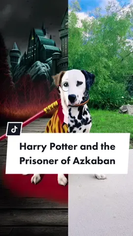 #CapCut Harry Potter and the Prisoner of Azkaban. #harrypotter #harrypottertok #fy #fyp #fypシ #fypage #fypシ゚viral #fyppppppppppppppppppppppp #dalmatian #dalmatiansoftiktok #dalmatianpuppy #puppylove #puppytiktok #puppies #puppiesoftiktok #dog #dogsoftiktok #dogs #dogsofttiktok #doglover #doggo #dogtok #dogmom #DogTraining #magic #edit #dogedit #cutedog #funnydog #cats #catsoftiktok #PetsOfTikTok #pets #tiktok #viral #viralvideo #viraltiktok #trend #trending 