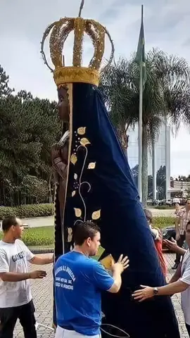 #TelaVerdeCongelante #nossasenhoraaparecida 