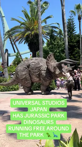 Only at universal studios Japan can you find jurassic park dinosaurs running free in a show. Its an incredible experience thats a must see and takes place nearly every hour! Would you see them? #fyp #foryou #universalstudios #universaljapan #jurassicpark #dinosaur #themepark #mustsee #dino #universal #follow 