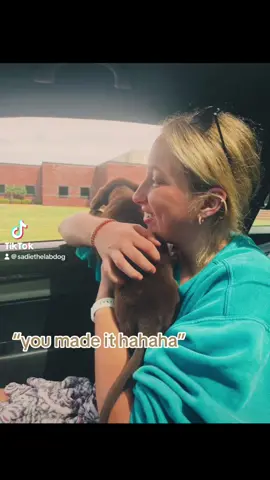 may have bawled making this🥹🥹  @Sadie The Chocolate Lab #fyp #angelbaby #oakley #chocolatelab #tiktokjourney 