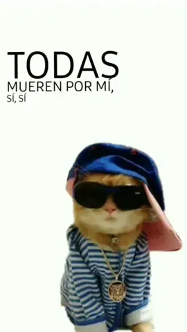 #💋✨️💯#todasmuerenpormi🥴 #estadosparawhatsapp 