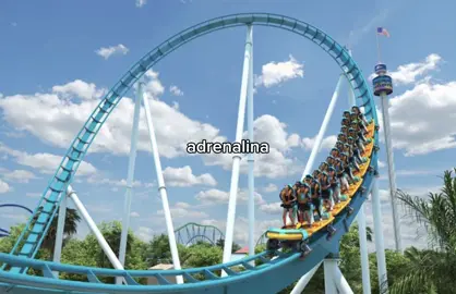 🤷🏻‍♀️🤷🏻‍♀️ #foryou #fy #parati #fy #viral #tiktok #fypシ 